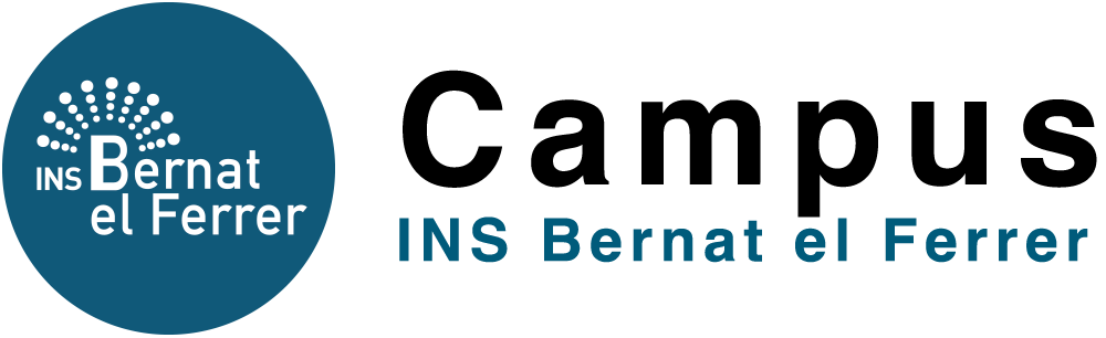 CAMPUS INS BERNAT EL FERRER